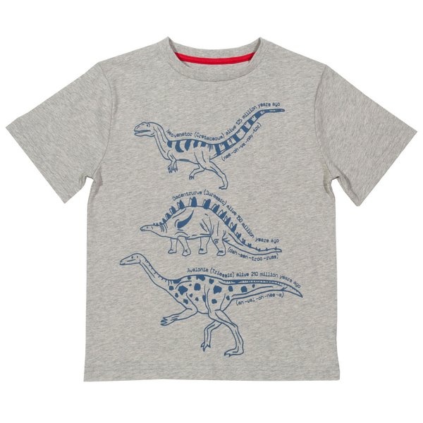 Kite Clothing, T-Shirt aus Bio-Baumwolle, grau mit Print Dinosaurier, statt 21,95€ nur