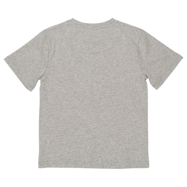Kite Clothing, T-Shirt aus Bio-Baumwolle, grau mit Print Dinosaurier, statt 23,95€ nur